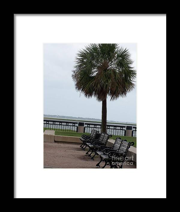 Coastal Park with Benches - Framed Print