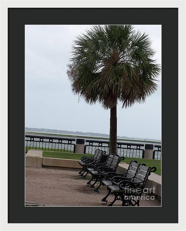 Coastal Park with Benches - Framed Print