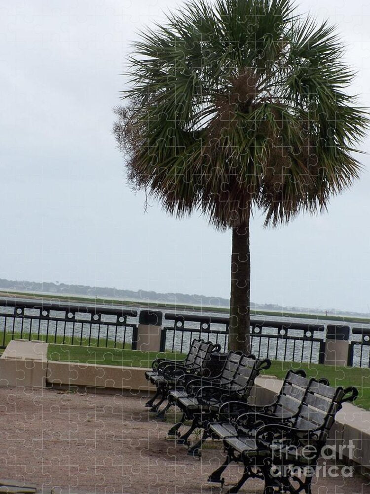 Coastal Park with Benches - Puzzle