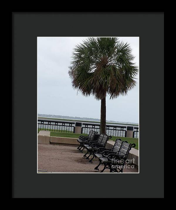 Coastal Park with Benches - Framed Print