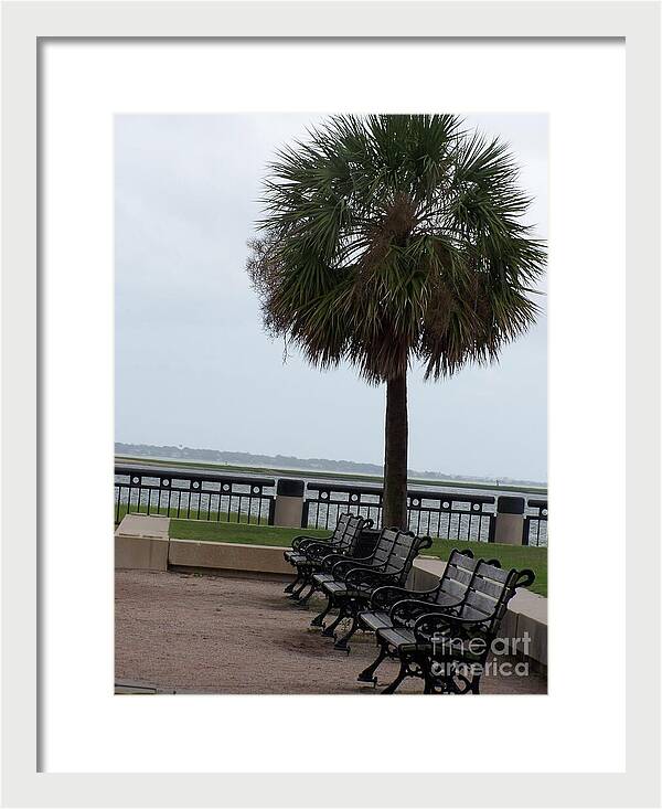 Coastal Park with Benches - Framed Print