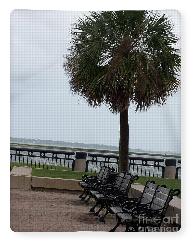 Coastal Park with Benches - Blanket