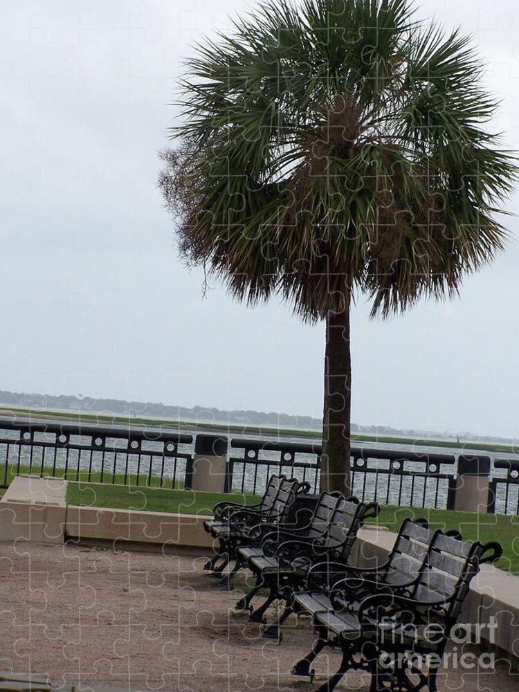 Coastal Park with Benches - Puzzle