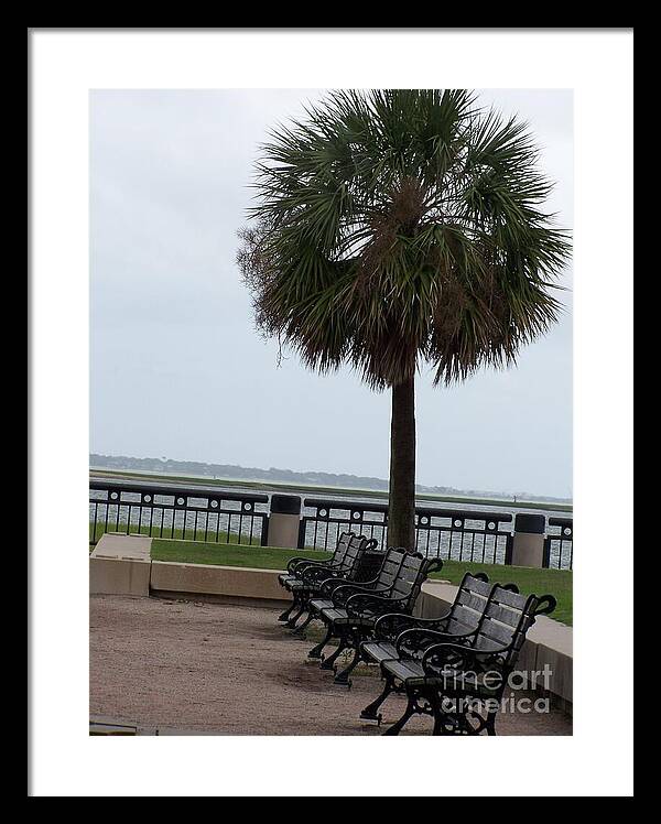 Coastal Park with Benches - Framed Print