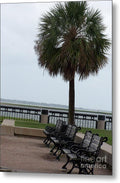 Coastal Park with Benches - Metal Print