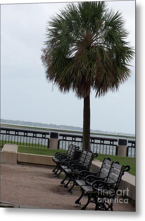 Coastal Park with Benches - Metal Print