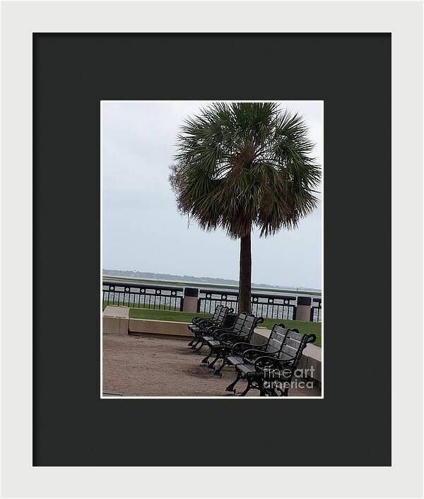 Coastal Park with Benches - Framed Print