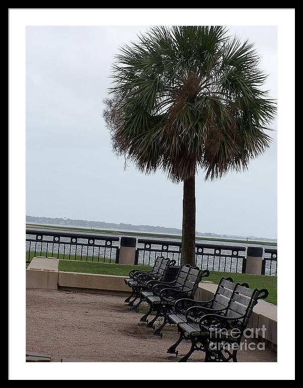 Coastal Park with Benches - Framed Print