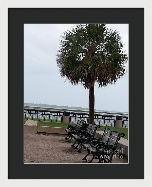 Coastal Park with Benches - Framed Print