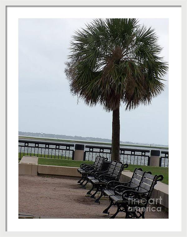 Coastal Park with Benches - Framed Print