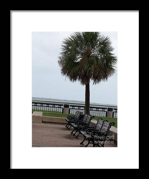 Coastal Park with Benches - Framed Print