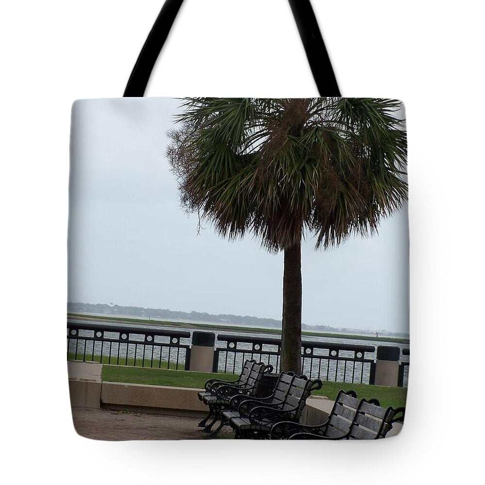 Coastal Park with Benches - Tote Bag