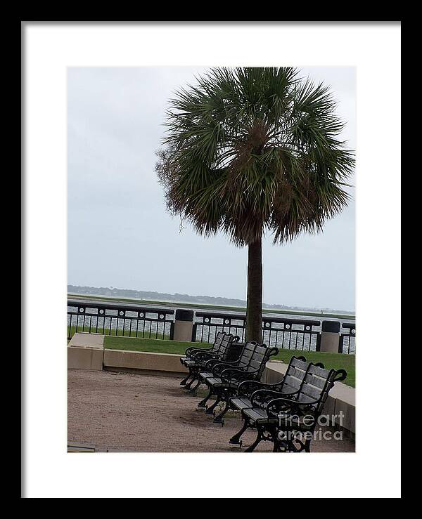Coastal Park with Benches - Framed Print