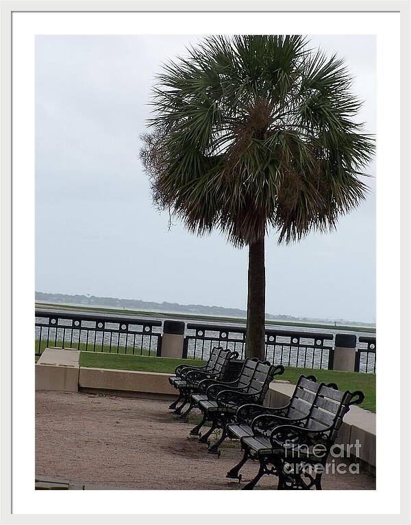 Coastal Park with Benches - Framed Print