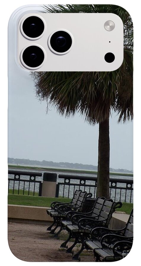 Coastal Park with Benches - Phone Case