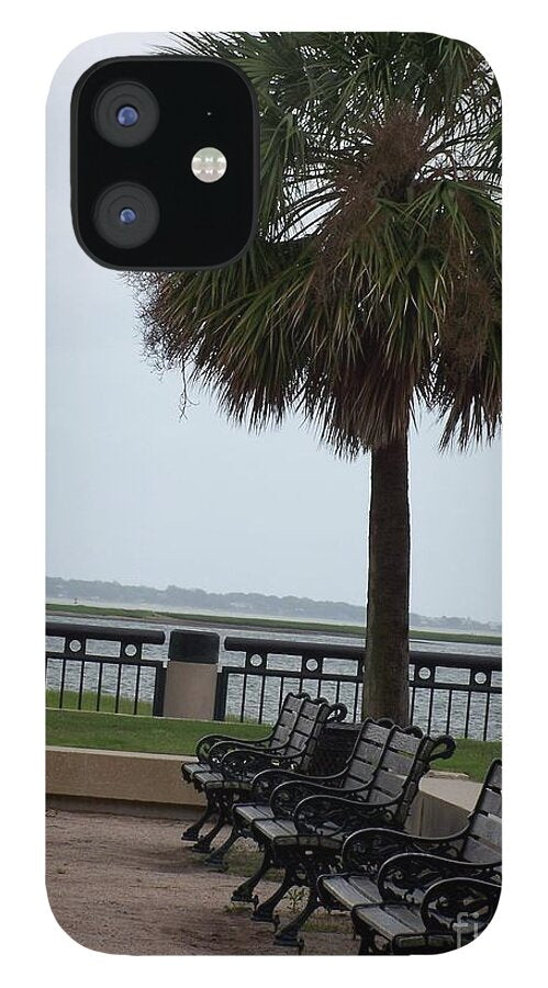 Coastal Park with Benches - Phone Case