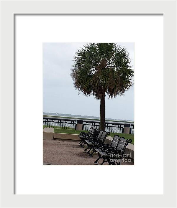 Coastal Park with Benches - Framed Print