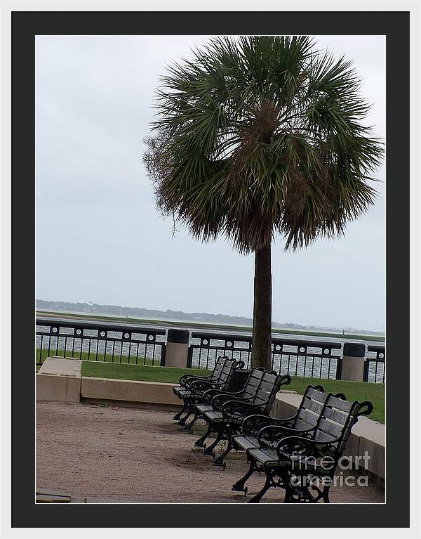 Coastal Park with Benches - Framed Print