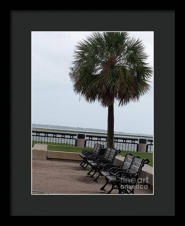 Coastal Park with Benches - Framed Print