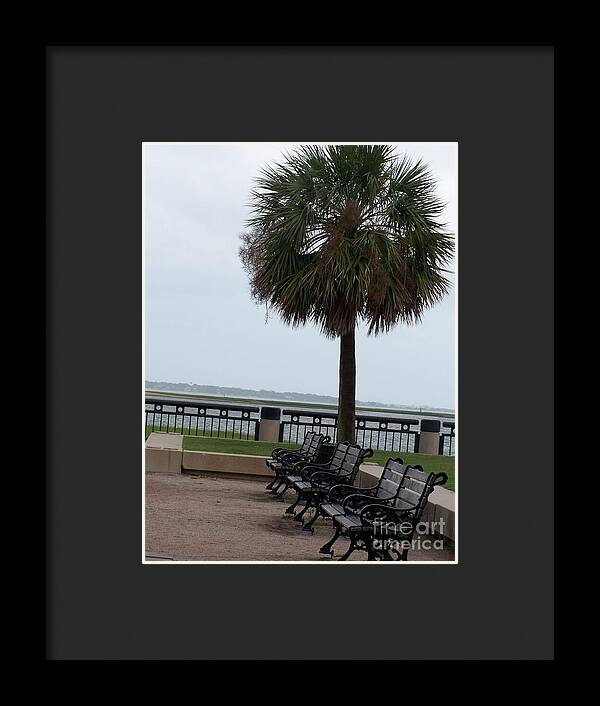 Coastal Park with Benches - Framed Print