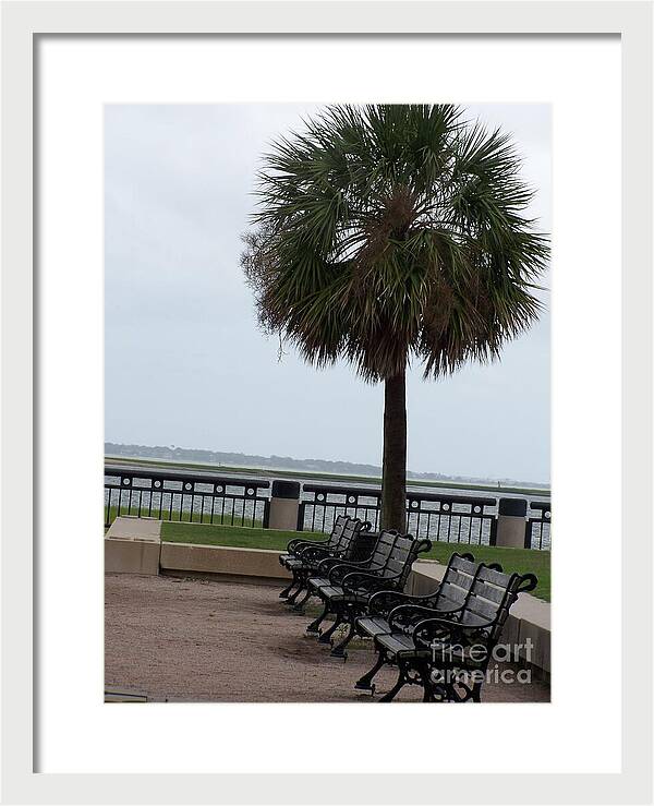 Coastal Park with Benches - Framed Print
