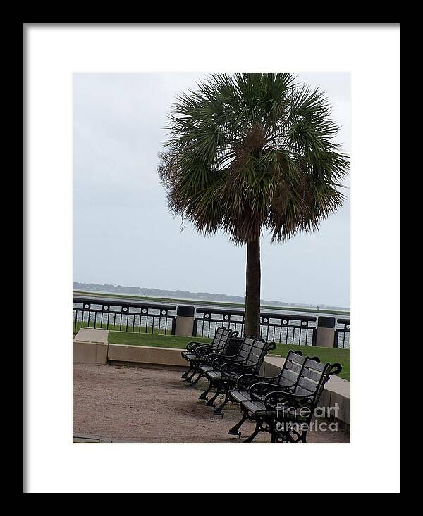 Coastal Park with Benches - Framed Print
