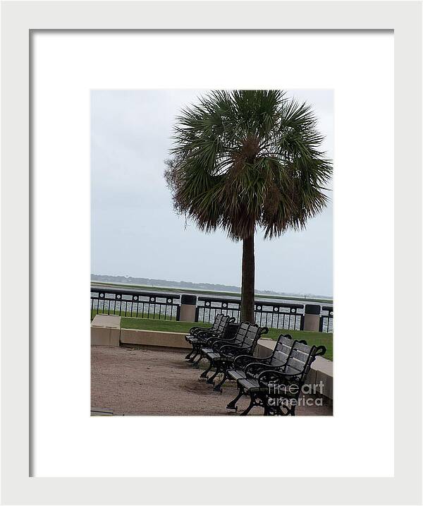 Coastal Park with Benches - Framed Print