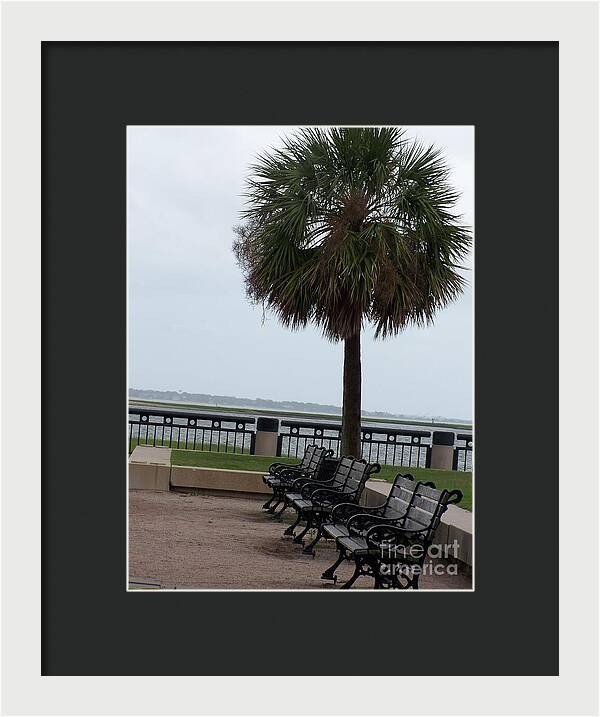 Coastal Park with Benches - Framed Print