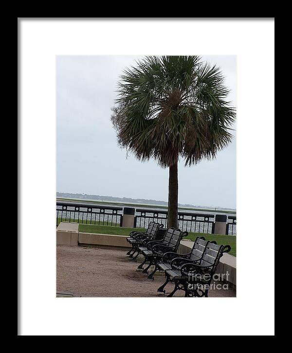 Coastal Park with Benches - Framed Print