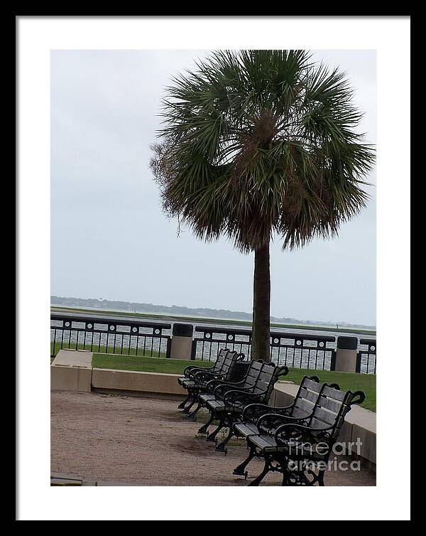 Coastal Park with Benches - Framed Print