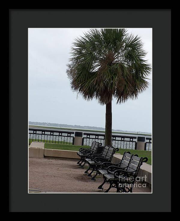 Coastal Park with Benches - Framed Print