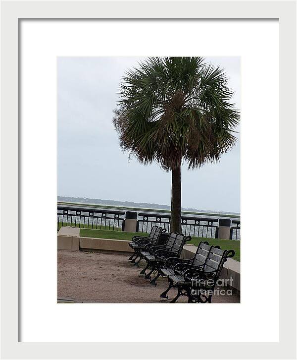 Coastal Park with Benches - Framed Print