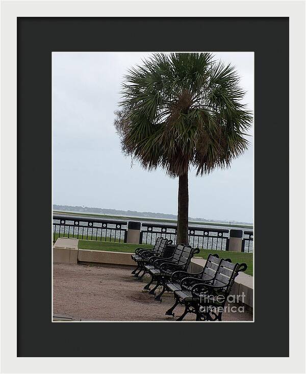 Coastal Park with Benches - Framed Print