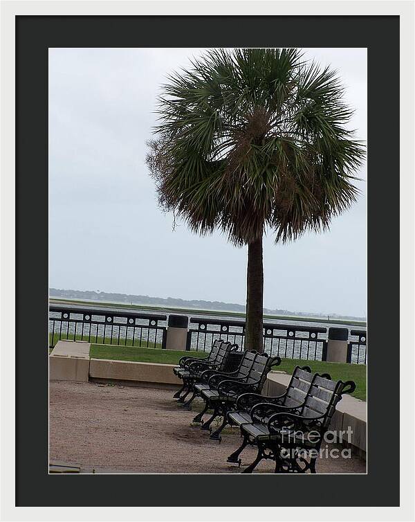 Coastal Park with Benches - Framed Print