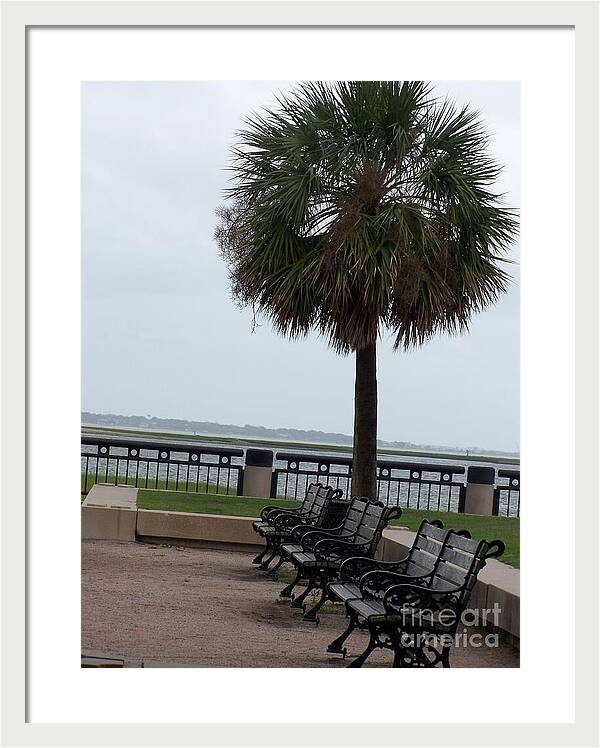 Coastal Park with Benches - Framed Print