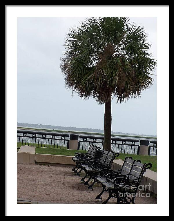 Coastal Park with Benches - Framed Print