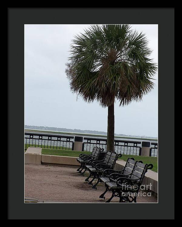 Coastal Park with Benches - Framed Print
