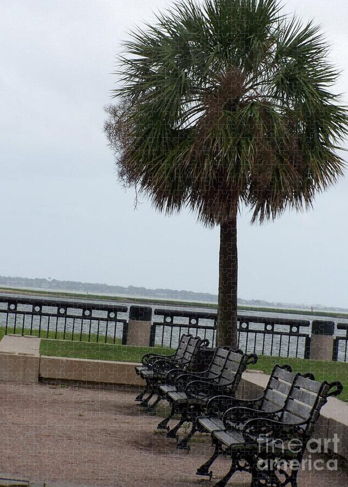 Coastal Park with Benches - Puzzle