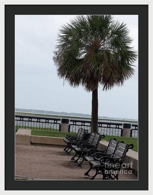 Coastal Park with Benches - Framed Print
