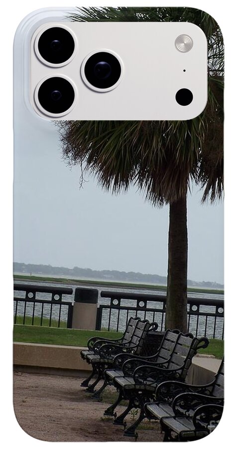 Coastal Park with Benches - Phone Case