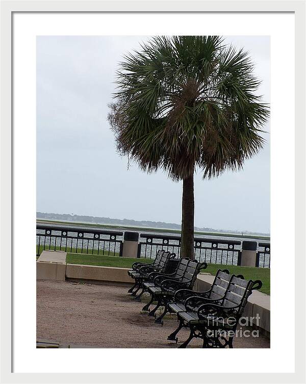 Coastal Park with Benches - Framed Print