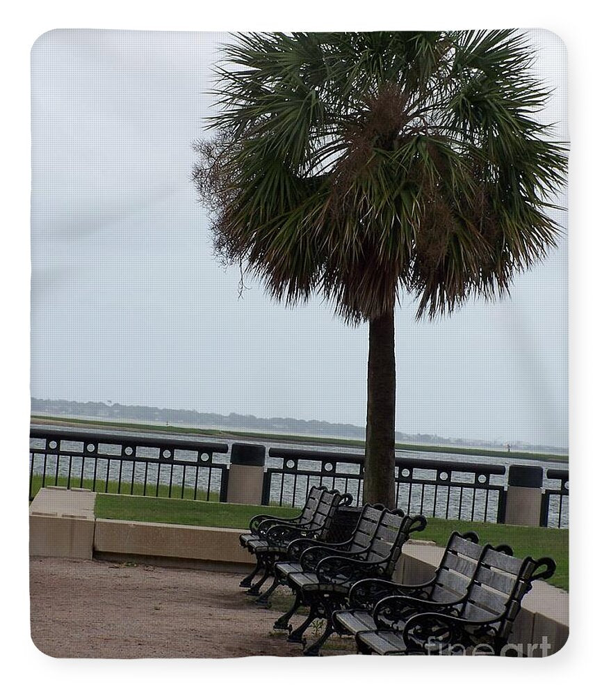 Coastal Park with Benches - Blanket