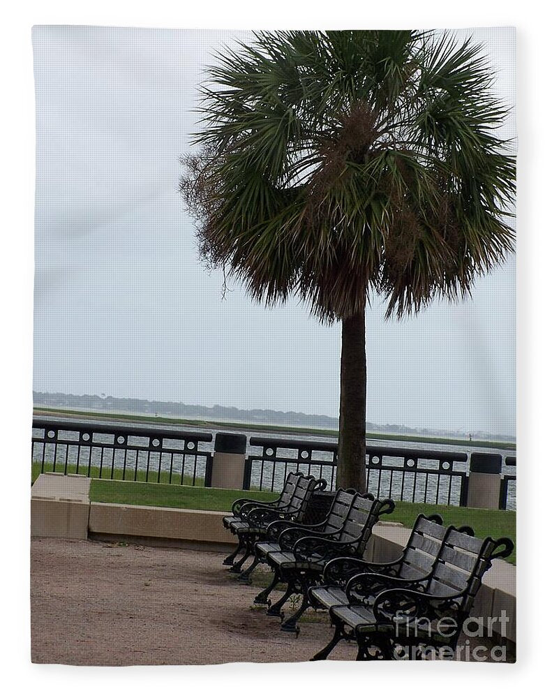 Coastal Park with Benches - Blanket