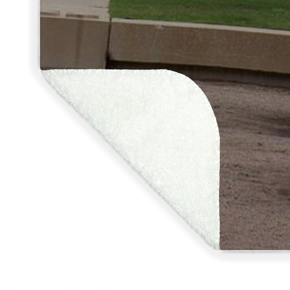 Coastal Park with Benches - Blanket
