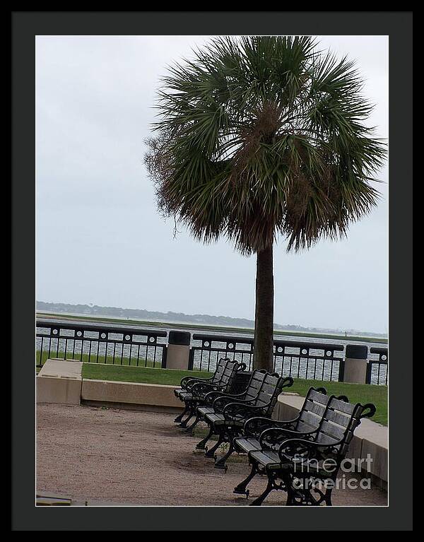 Coastal Park with Benches - Framed Print