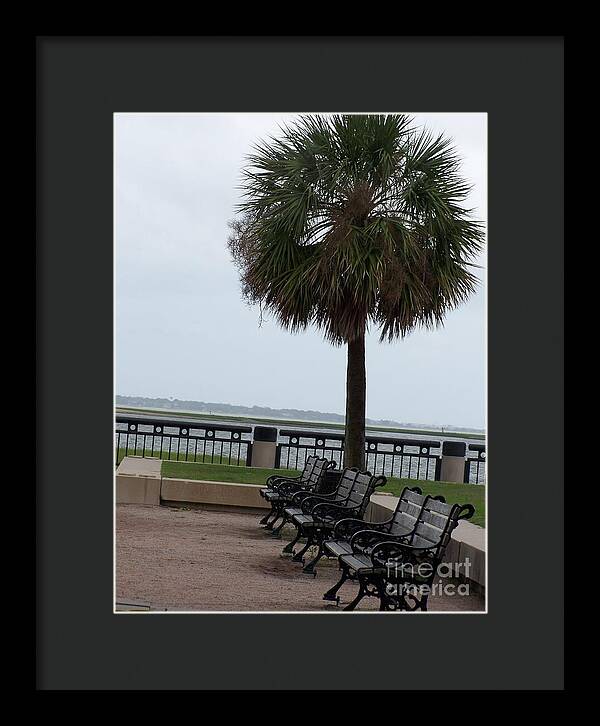 Coastal Park with Benches - Framed Print