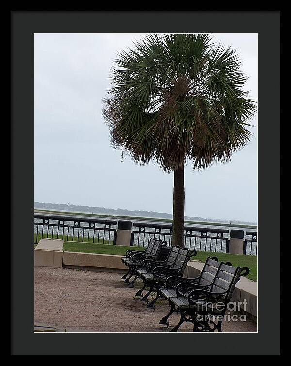 Coastal Park with Benches - Framed Print