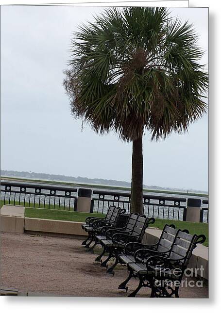 Coastal Park with Benches - Greeting Card