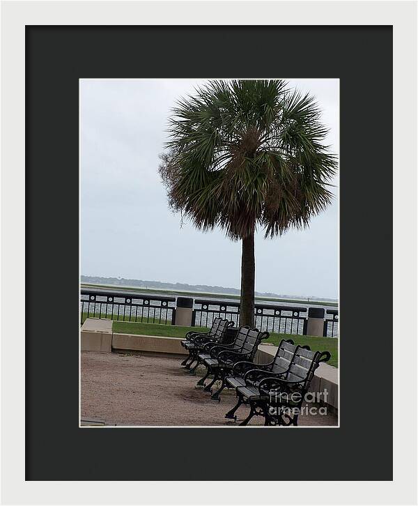 Coastal Park with Benches - Framed Print