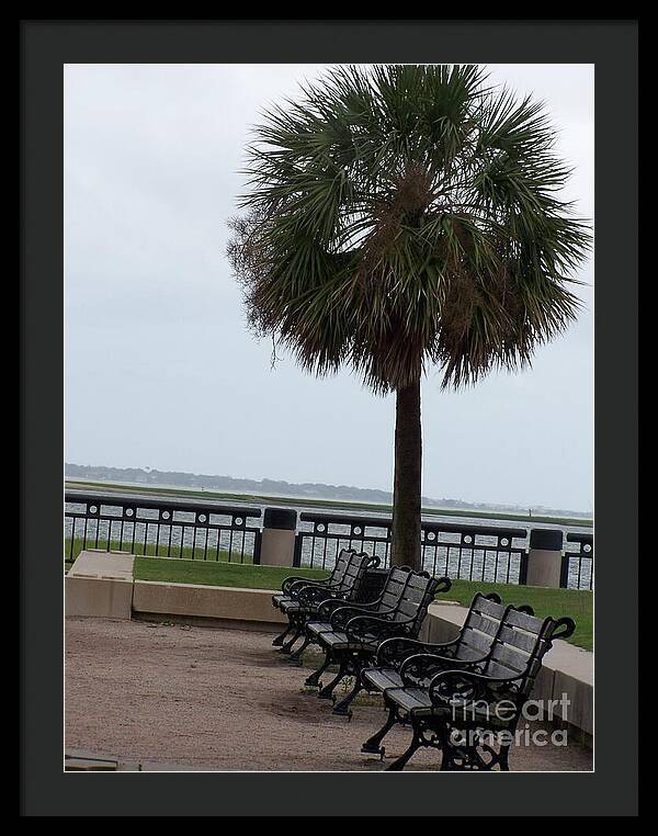 Coastal Park with Benches - Framed Print